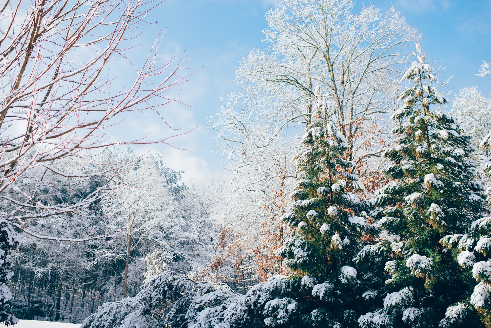 在俄羅斯冰雪下的聖誕節，因著紀念而增加了溫度。（圖／Unsplash by Ian Schneider）